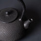 Nambu Tekki - cast iron kettle